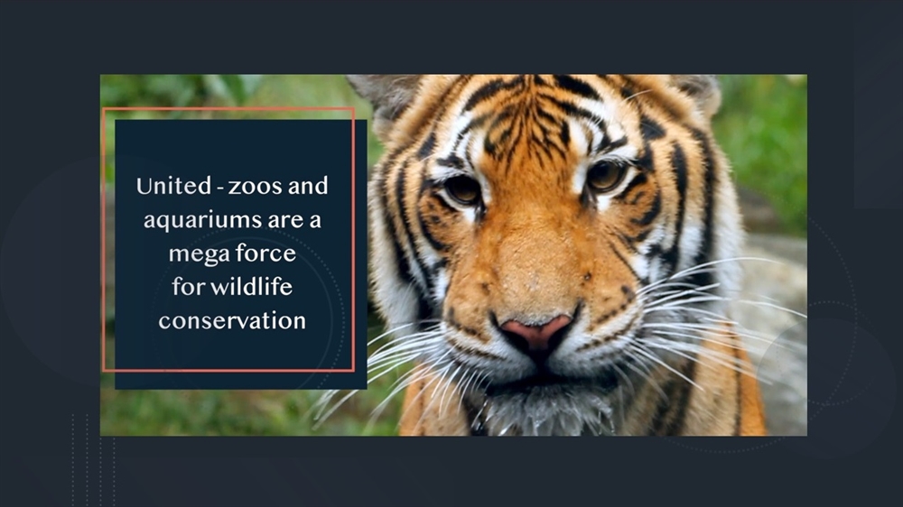 Zoos And Aquariums Join Forces To Advance Global Goals For Protecting ...